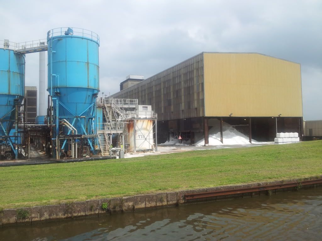 Damselfly Back up the Middlewich